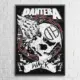 Pantera Poster, Pantera Walk Wall Poster