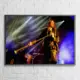 Skald Tapestry, Skald Concert Tapestry Wall Poster