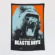 Beastie Boys Tapestry, Beastie Boys Wall Poster