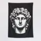 Ancient Greek Tapestry, Greek Statue Tapestry Wall Poster